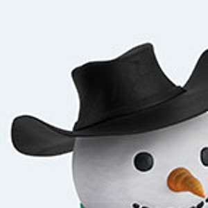 Cowboy Hat